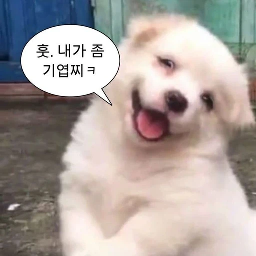 김승민