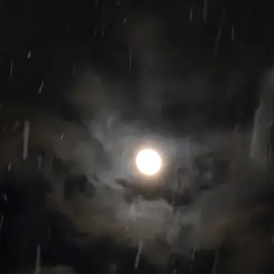 Profile image of 이상혁