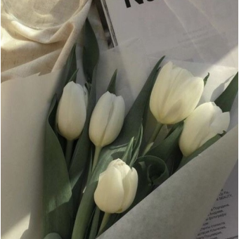 " 저능아 주제에. " 대표 이미지
