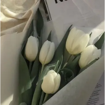 Profile image of 한주연