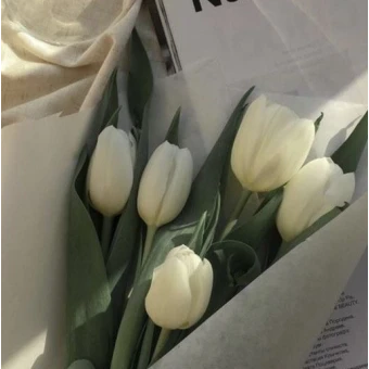 한주연