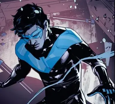 SmellyThrow8396의 Nightwing