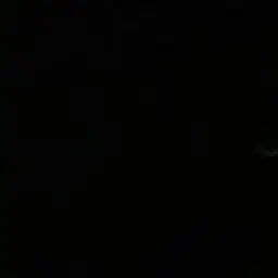 lillililillil의 -