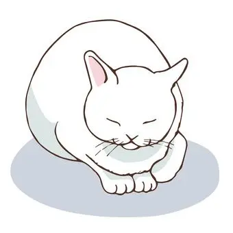 Profile image of ユキ