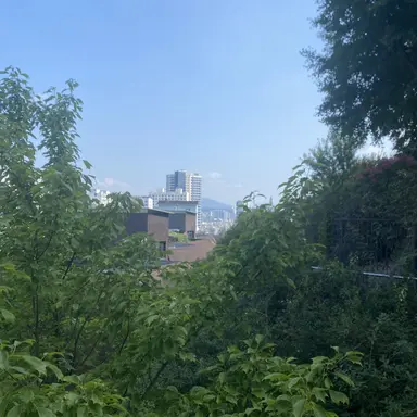 Profile image of 파랭이
