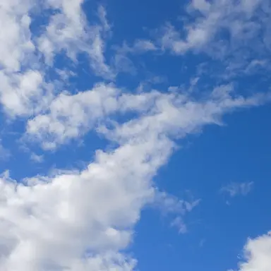 Profile image of 잠뜰