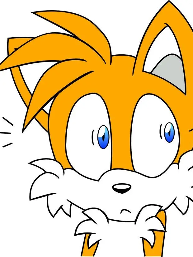 Anonymous-cookie의 SONIC!...