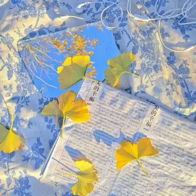 Profile image of 꽥