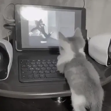 Profile image of 이핑구