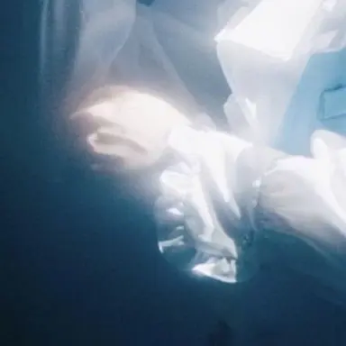 Profile image of 大森元貴