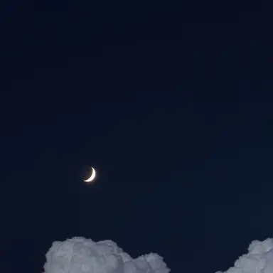 Profile image of 父親