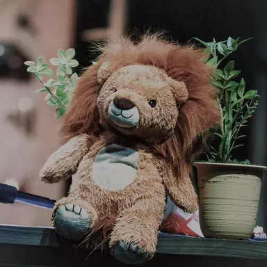 Profile image of 생존자