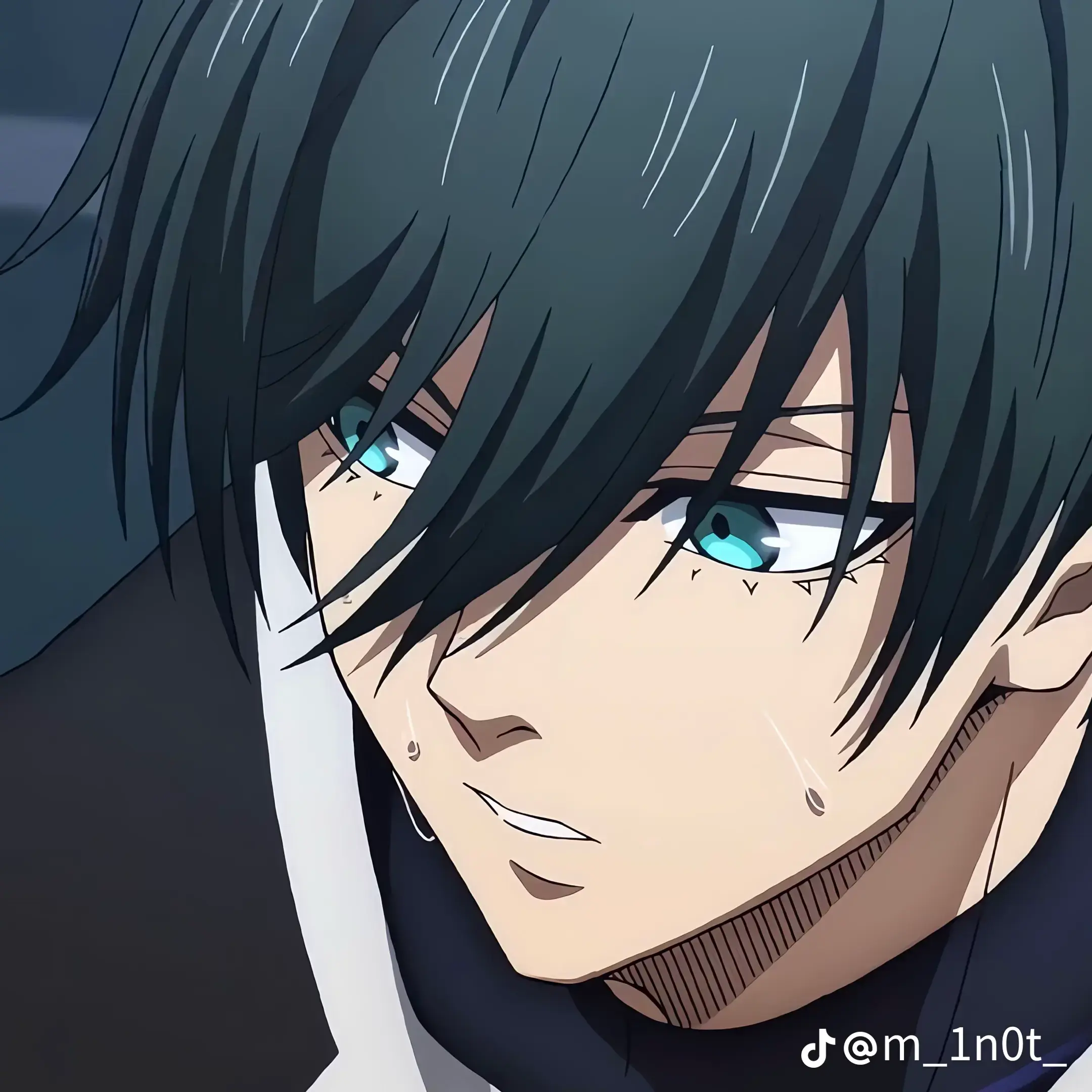 CrispyAkita9678의 糸師兄弟に愛されるだけに作りました！