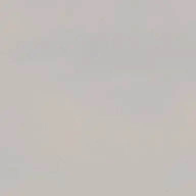 Profile image of 유기사