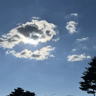 Profile image of 평학