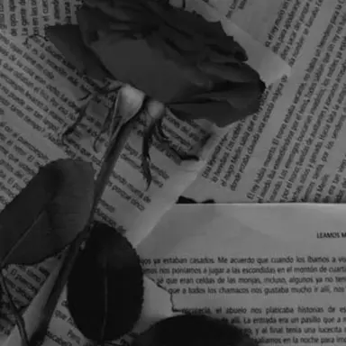 Profile image of 마피오소