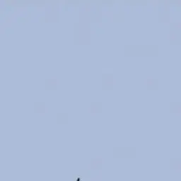 Profile image of 若井滉斗