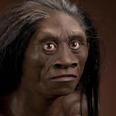 Profile image of 금태양