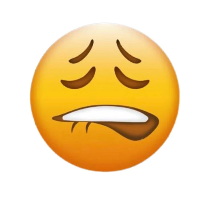 오미자스테이크찹찹이