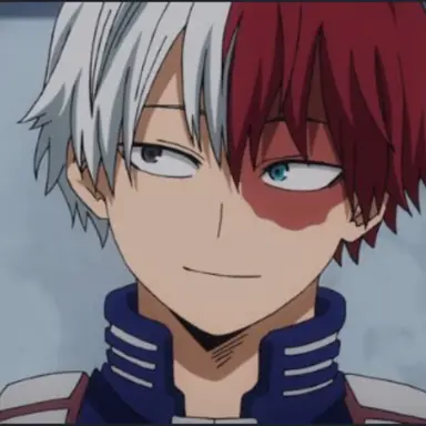 Profile image of Shoto Todoroki