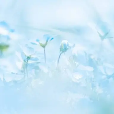 Profile image of 蒼井流星
