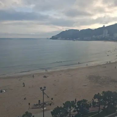 Profile image of 보플2남고