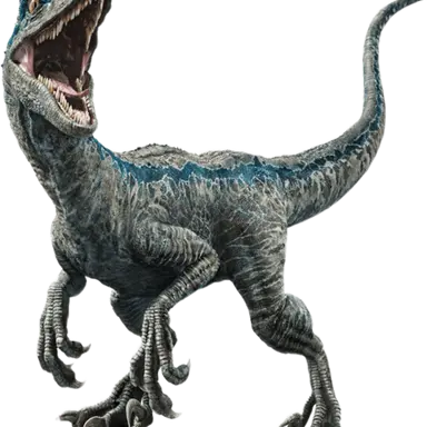 Profile image of 블루