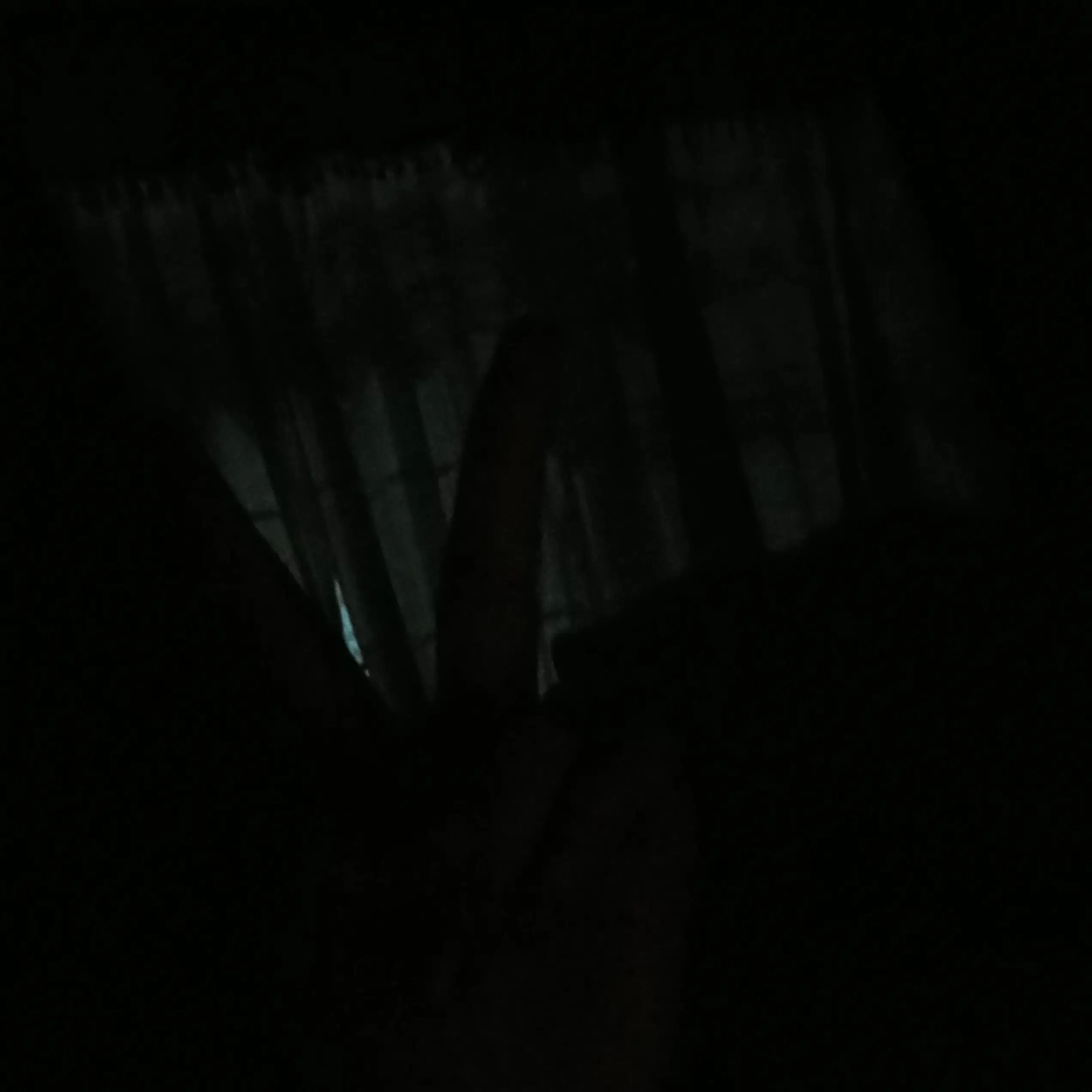 sara1의 고고프렌즈