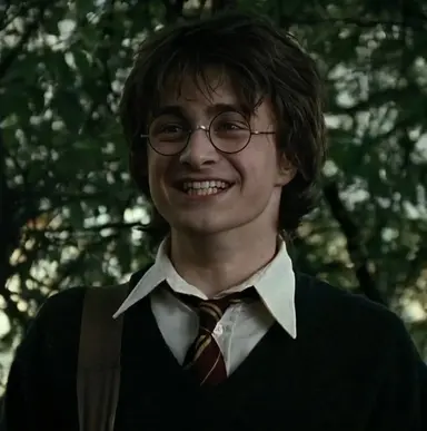 Profile image of Harry