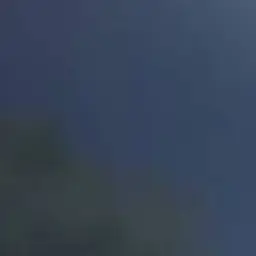 ConvexBeago0484의 나재견