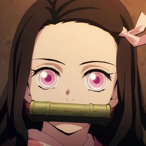 竈門 禰豆子