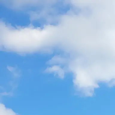 Profile image of 여캐