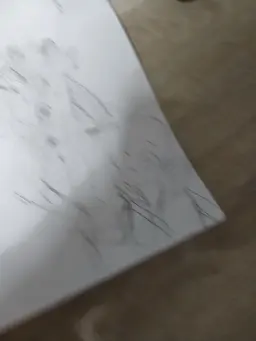 Profile image of 여우.늑대.선생님