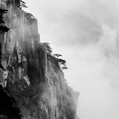 Profile image of 조광혁