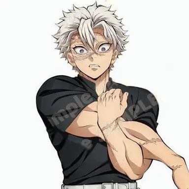 Profile image of Sanemi Shinazugawa