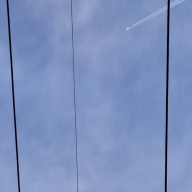 Profile image of 사히리 우하