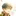 일레온 공작