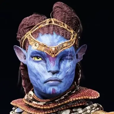 Profile image of Nesim