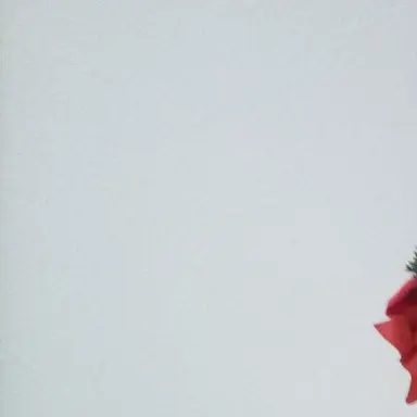 Profile image of 龍二