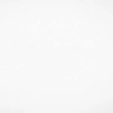 Profile image of 村上 礼央