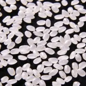 Profile image of 팀고