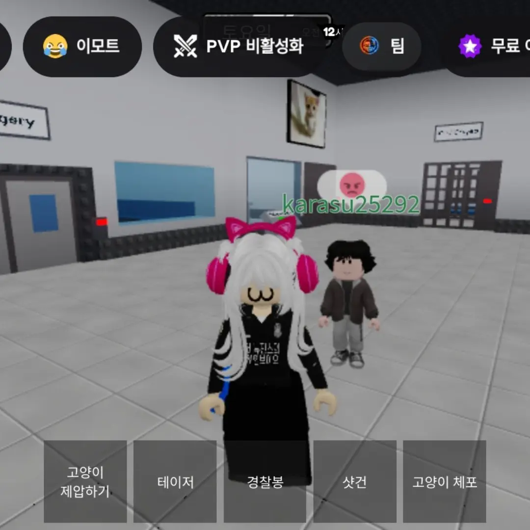LeftJoy2815의 고양이 보호소