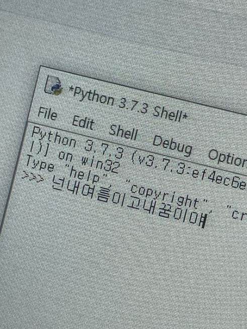 윤이솔 대표 이미지
