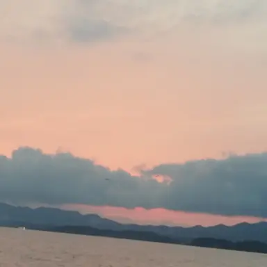 Profile image of 宮舘りょうた