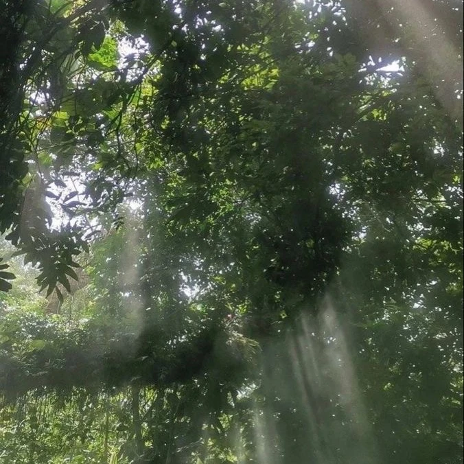 EN