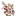 마츠리