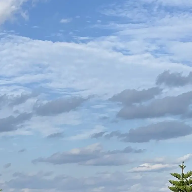 YeastyEider4661의 手越祐也