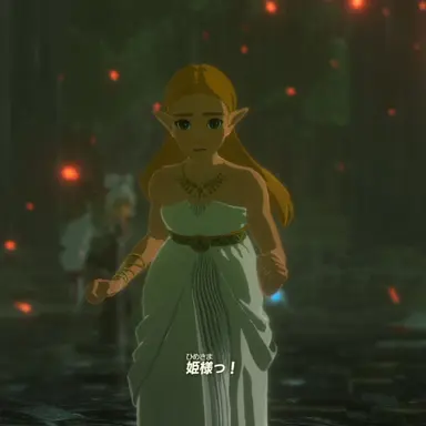 Profile image of ゼルダ