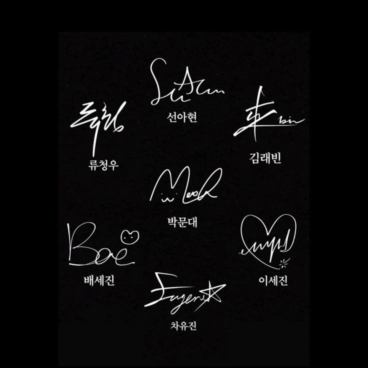 문댕댕과 칭구들