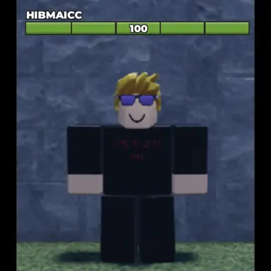 Profile image of HIBMAICC.